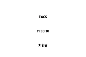 EXCS_11 30 10_치환공