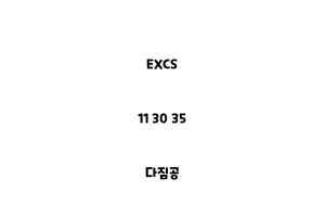 EXCS_11 30 35_다짐공