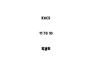 EXCS_11 70 10_록볼트