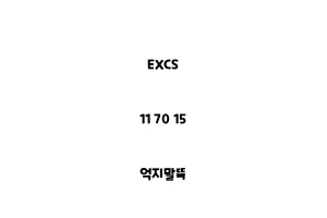 EXCS_11 70 15_억지말뚝