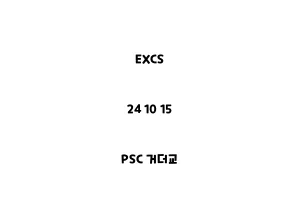 EXCS_24 10 15_PSC 거더교