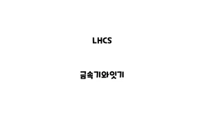 LHCS_None_금속기와잇기