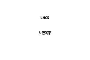 LHCS_None_노면복공