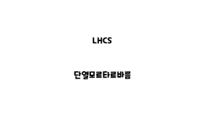 LHCS_None_단열모르타르바름