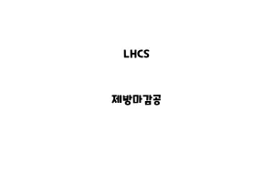 LHCS_None_제방마감공