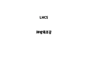 LHCS_None_제방축조공