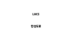 LHCS_None_탄성도료