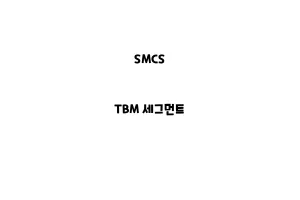 SMCS_None_TBM 세그먼트