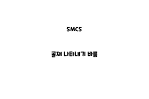 SMCS_None_골재 나타내기 바름