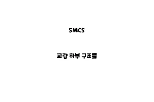 SMCS_None_교량 하부 구조물