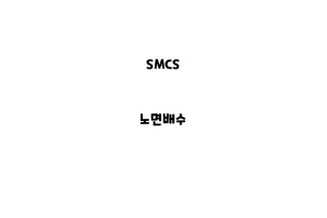 SMCS_NSMCS_None_노면배수one_노면배수