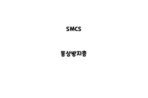 SMCS_None_동상방지층