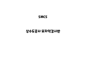 SMCS_None_상수도공사 모자익감시반