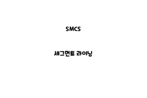 SMCS_None_세그먼트 라이닝