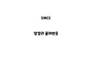 SMCS_None_알칼리 골재반응