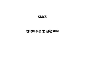 SMCS_None_연직배수공 및 선행재하