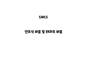 SMCS_None_인조석 바름 및 테라조 바름