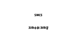 SMCS_None_지하수위 저하공