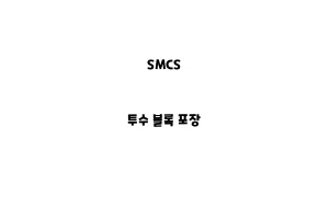 SMCS_None_투수 블록 포장