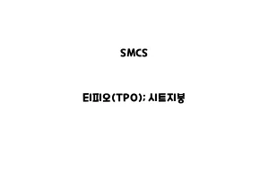 SMCS_None_티피오(TPO); 시트지붕