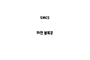 SMCS_None_하천 블록공