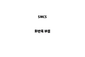 SMCS_None_회반죽 바름